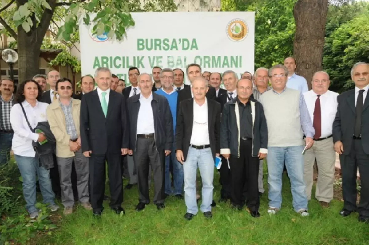 Arıcılıkta Dünya Ortalamasının Gerisindeyiz