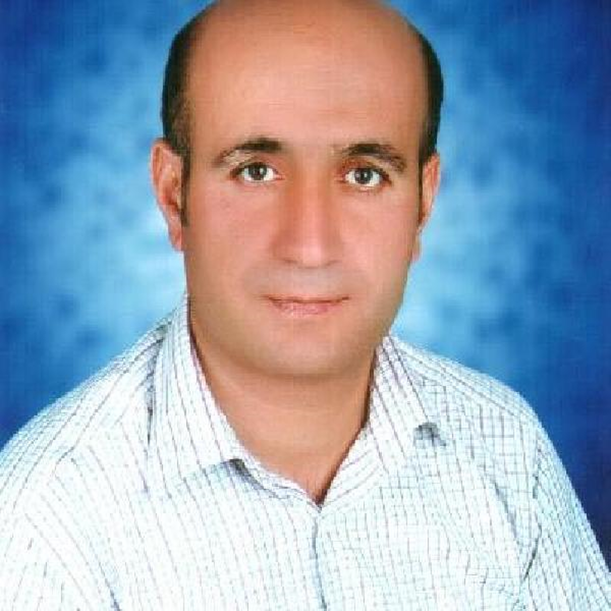 BDP'li Meclis Üyesi Gözaltında