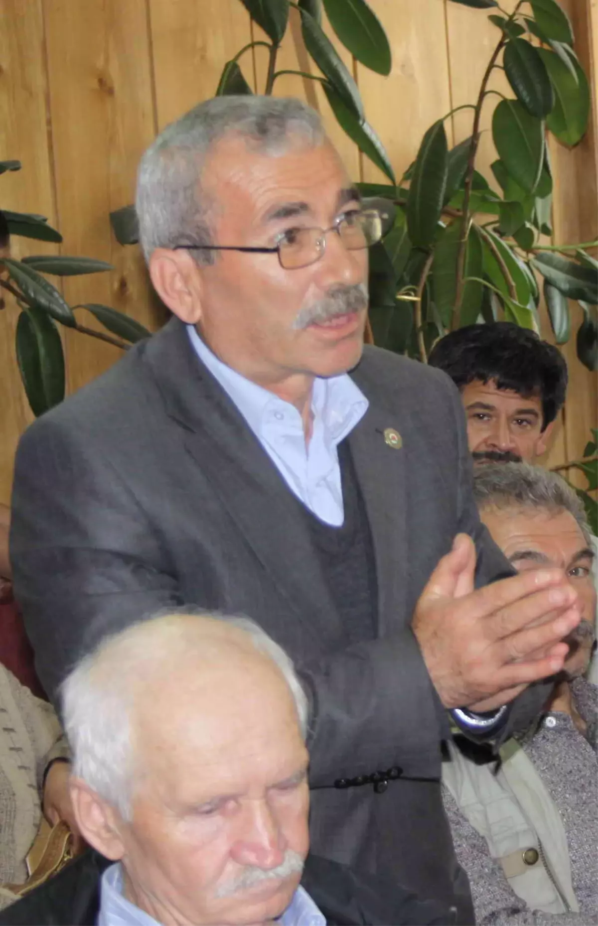 Kestane Ağaçlarının Kuruması Yanlış Hasattan Kaynaklanıyor İddiası