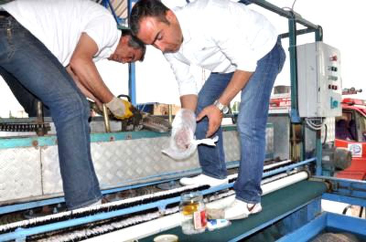 Kopan Parmakları Bulmak İçin Seferber Oldular