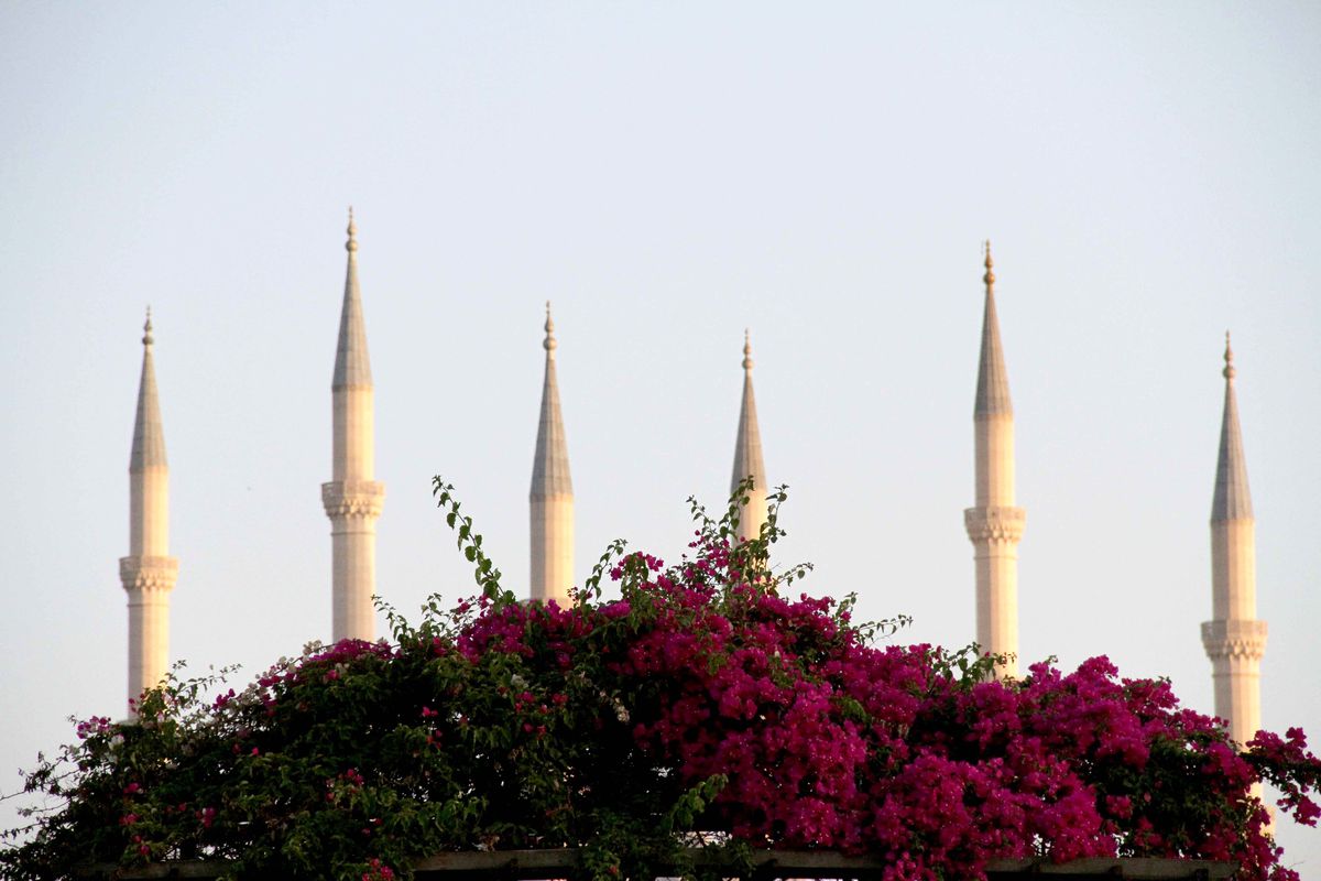 Merkez Park'tan 'İlginç' Kareler
