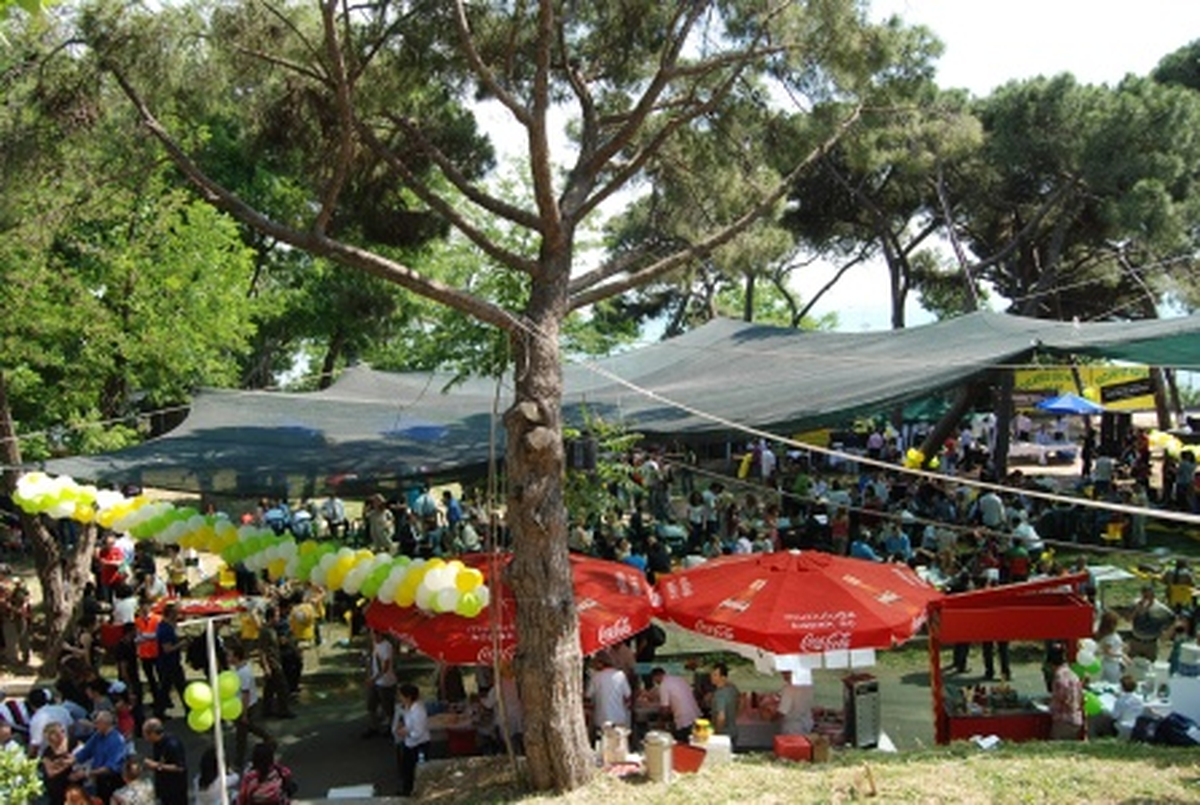 Türkiye'deki Tüm Martılar 9 Haziran'da Kadıköy'de