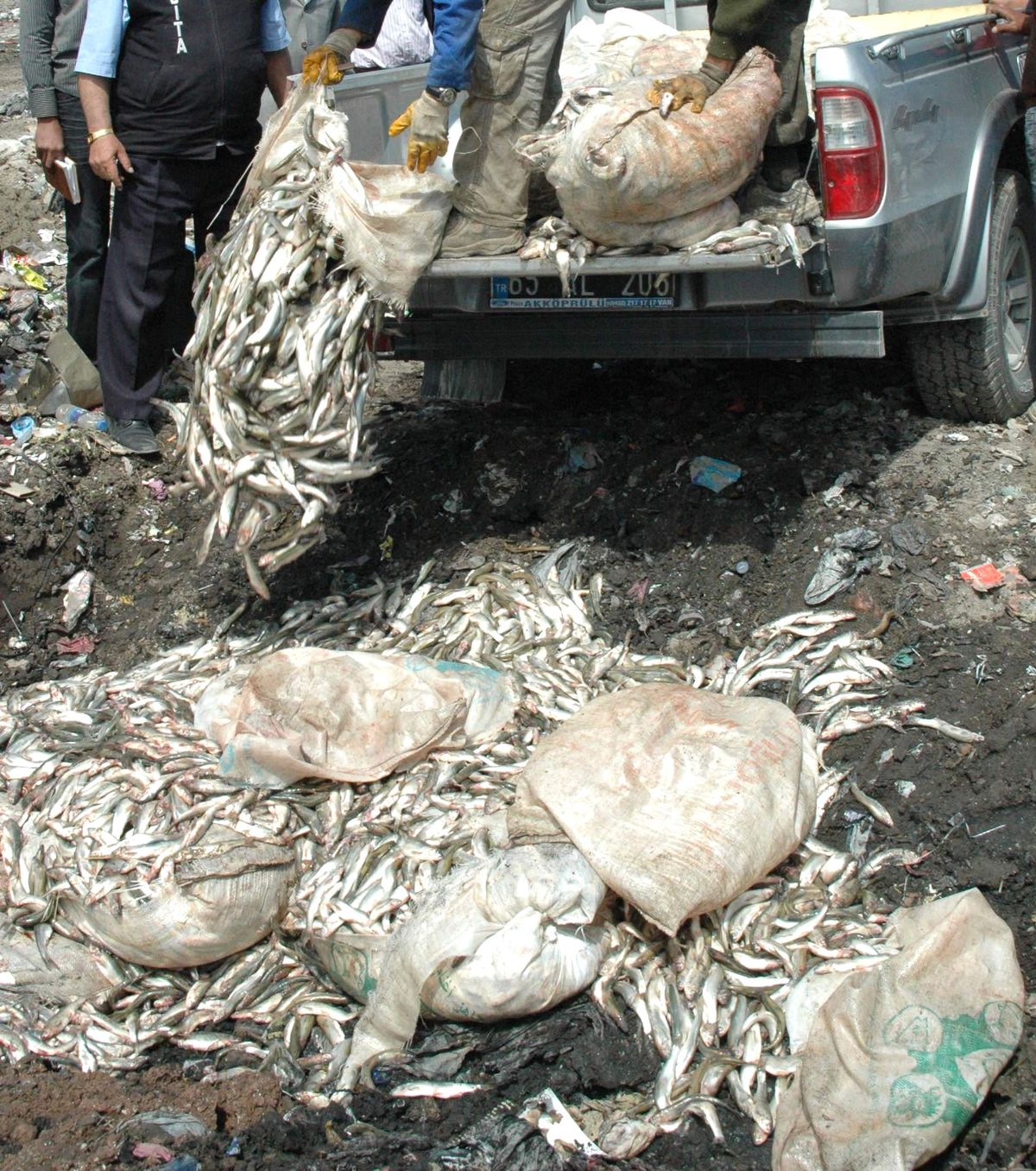 Van'da Kaçak Avlanmış 35 Bin 500 Kilo Balık Ele Geçirildi