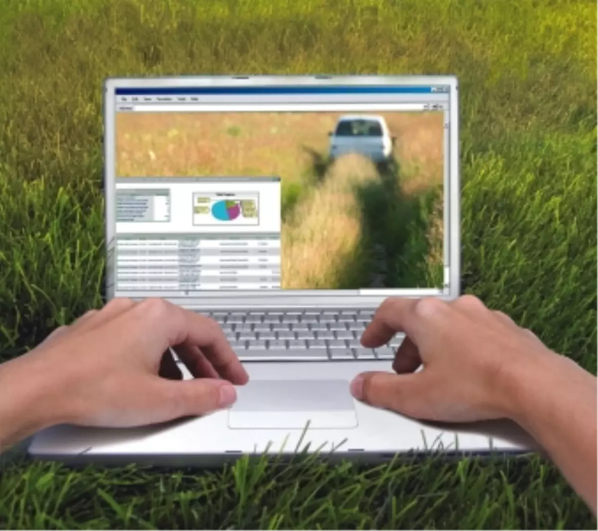 8 Bin Hektar Orman Yok Olmaktan Kurtarılabilir

