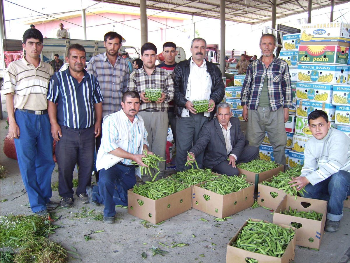Bakla ve Bezelyede Üretici Umduğunu Bulamadı