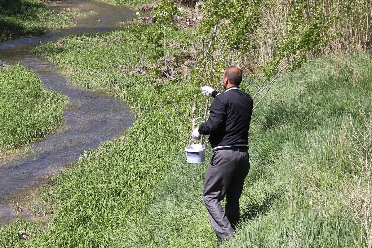 Bayburt Belediyesi Sinekle Mücadeleye Erken Başladı