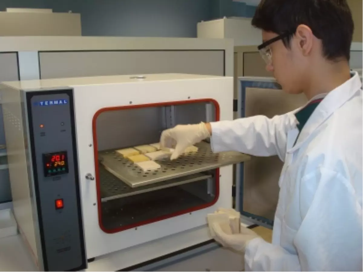 Bitkisel Yağlardan Ahşap Koruyucu