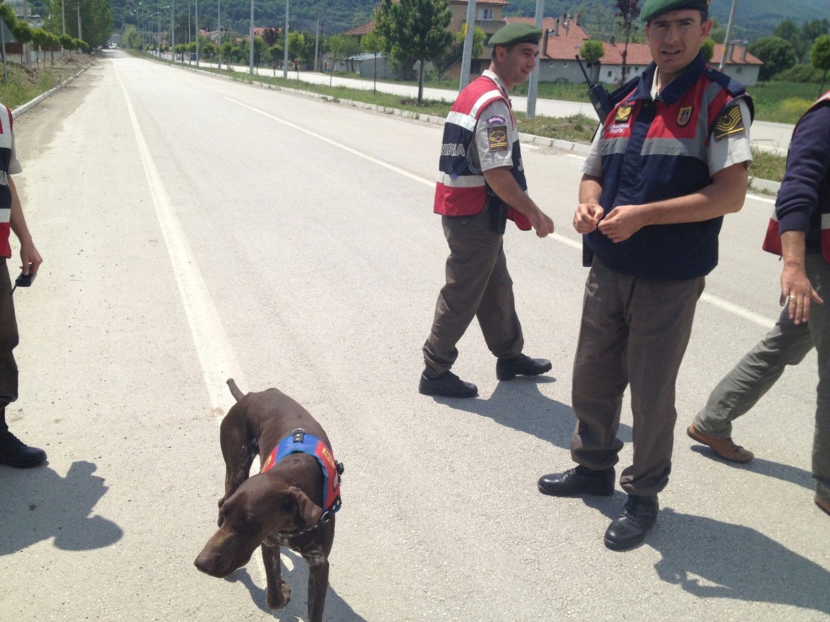 Bolu'da Jandarma Ekipleri Narkotik Köpekleriyle Trafik Uygulaması Yaptı