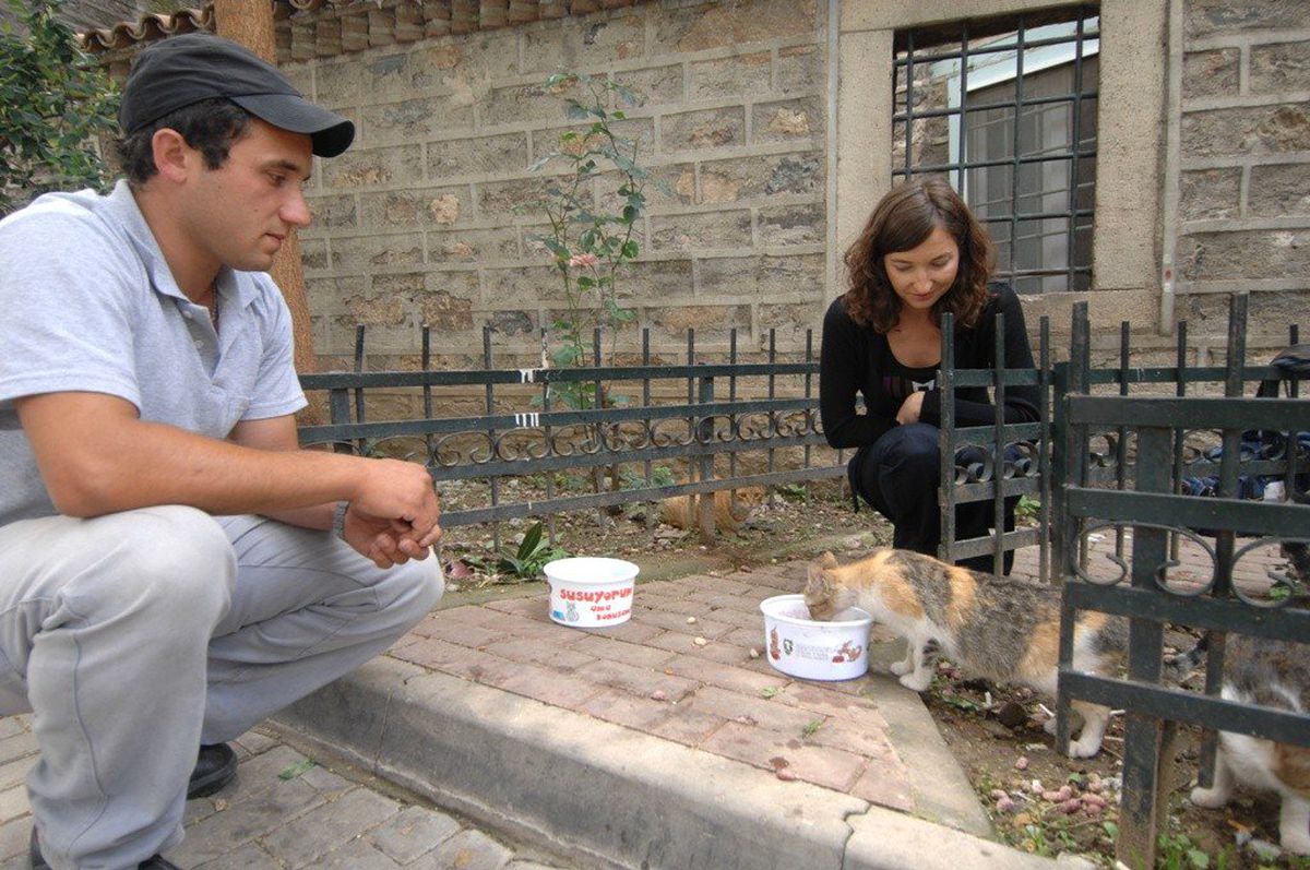 Bursa'da Sokak Hayvanları Aç Kalmayacak