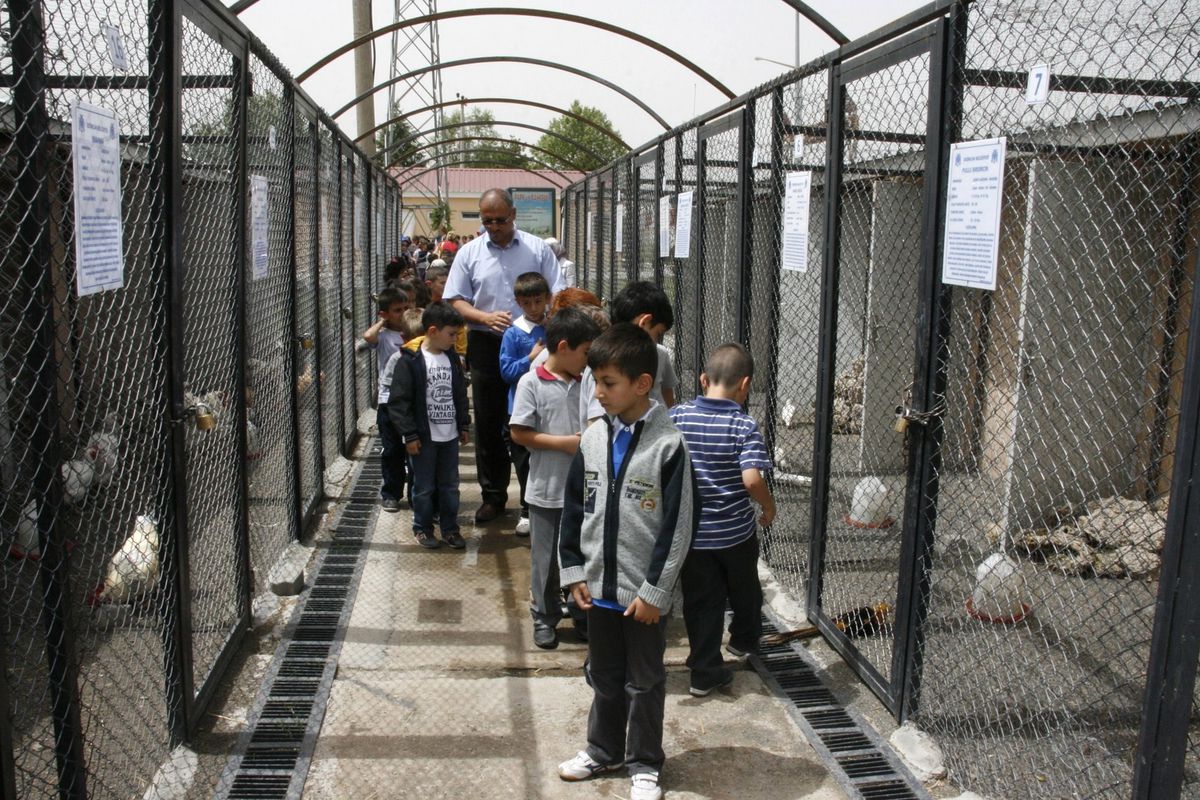 Hayvanat Bahçesine Ziyaretçi Akını