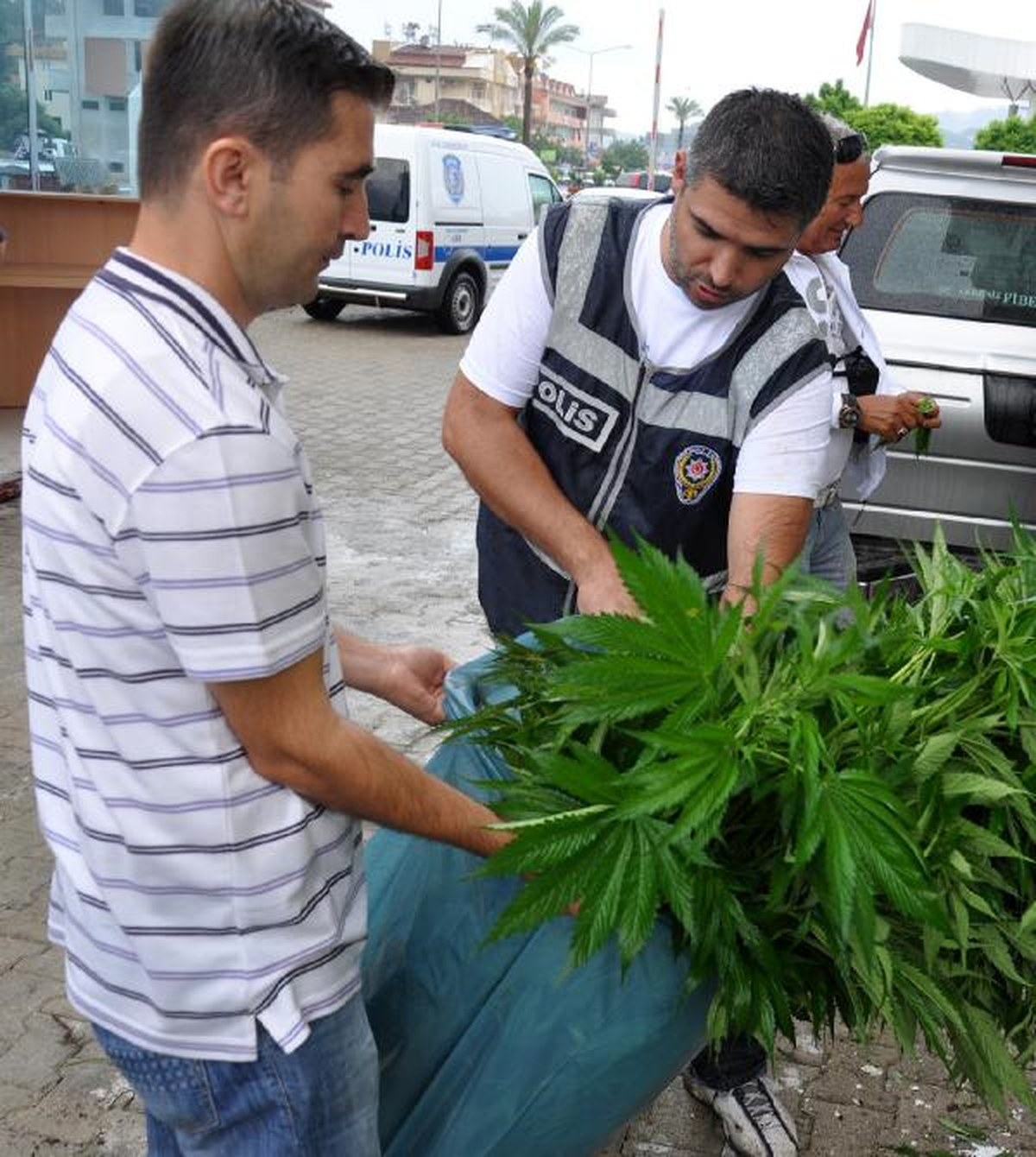 Hintkeneviri Tarlasına Sıkı Güvenlik