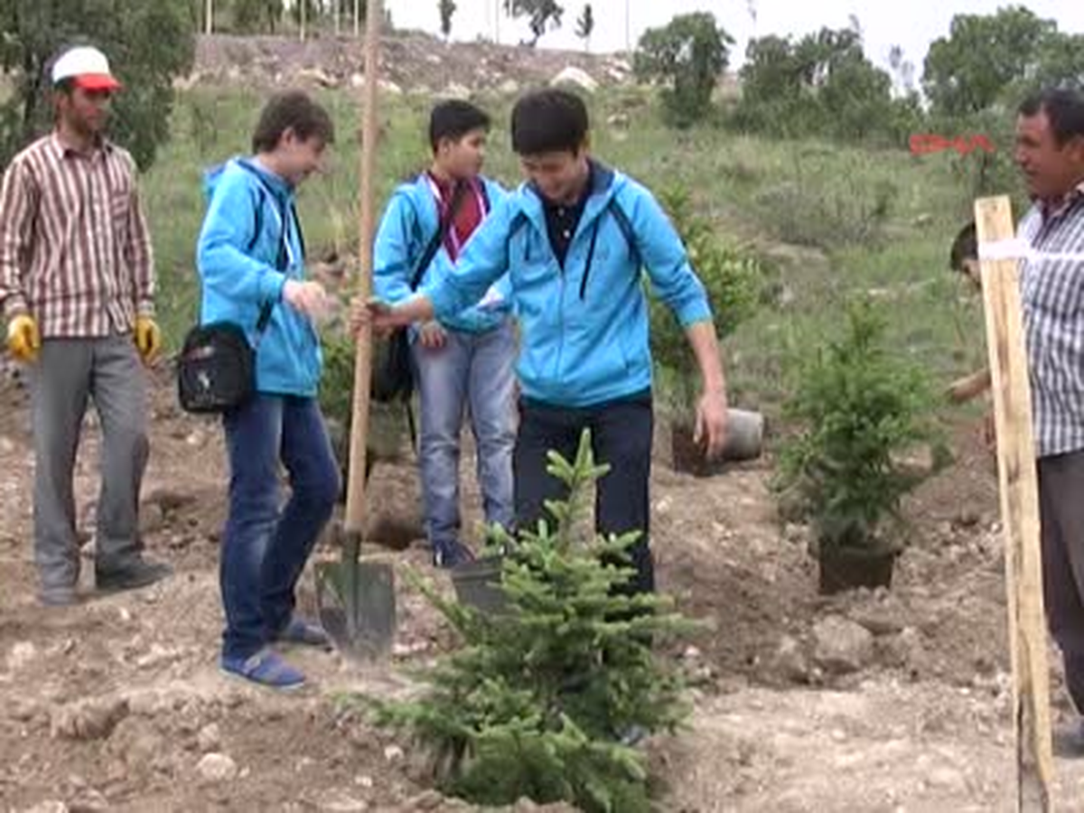 Türkçe Konuşan Ögrenciler Boydak Ormanına Fidan Dikti Türkçe Olimpiyatları İçin Kayseri'ye Gelen 24...