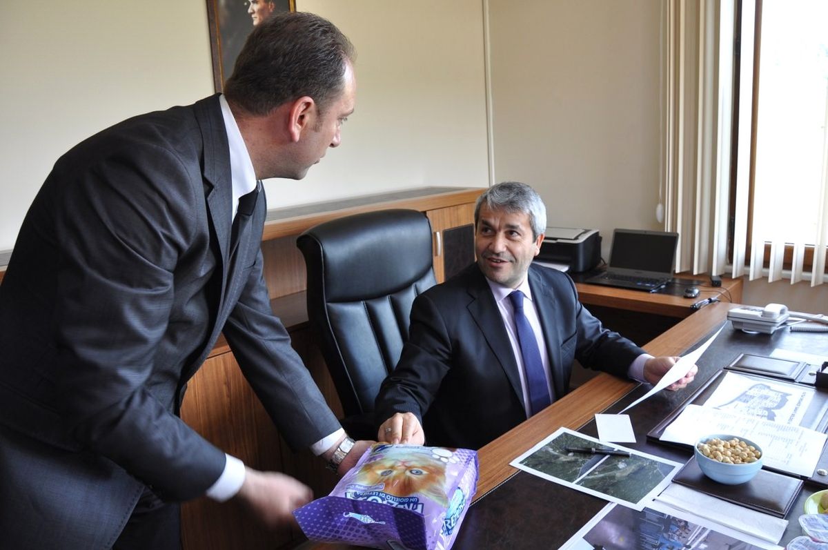 Bakan Ergün\'ün "Kedi Kumu" Şaşkınlığı