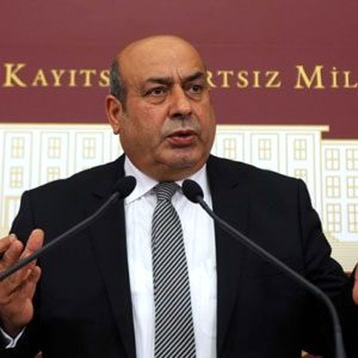 BDP Grup Başkanvekili Kaplan'ın Basın Toplantısı