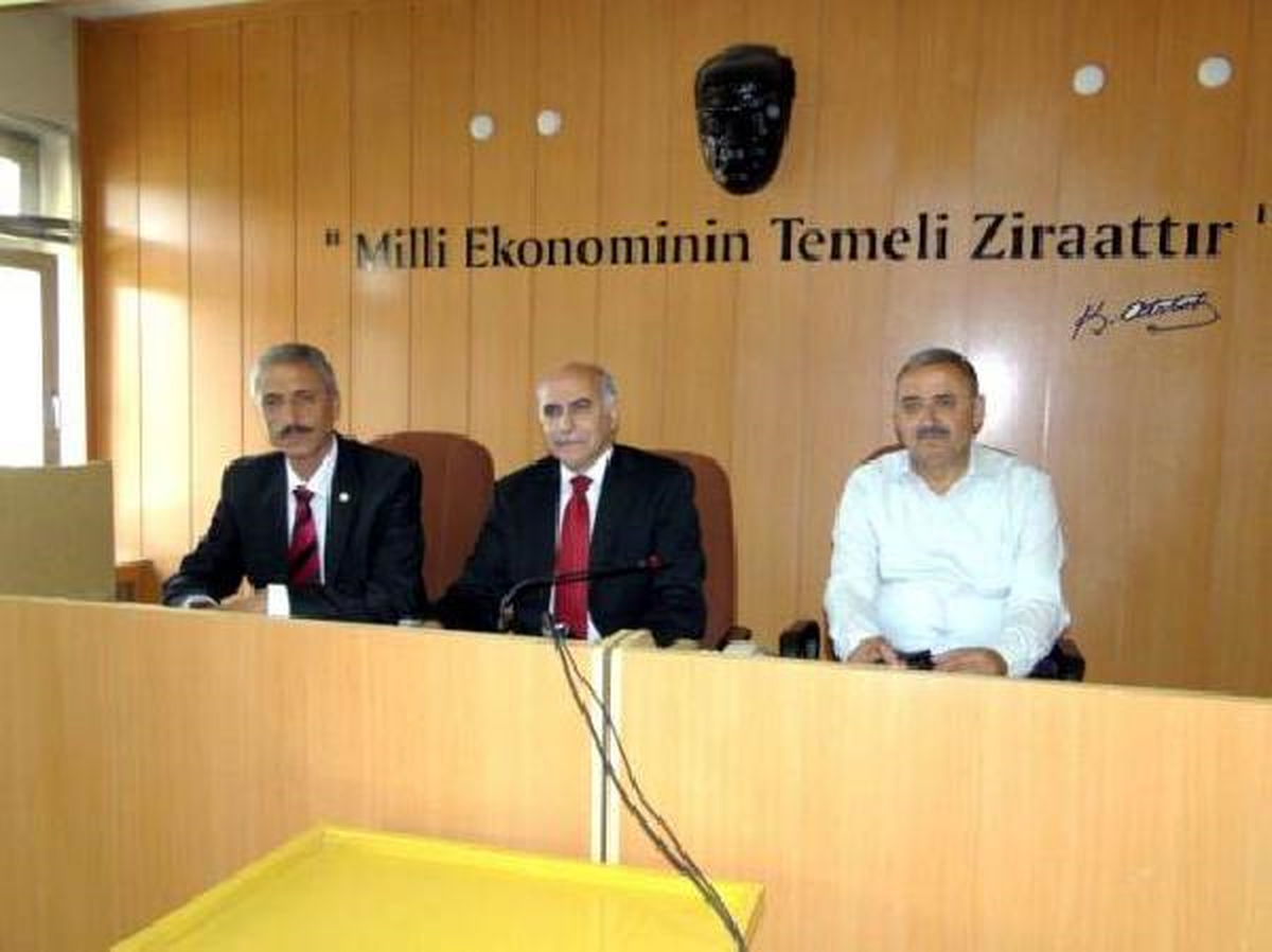 Kuru Kayısı Rekoltesi 150 Bin Ton Bekleniyor