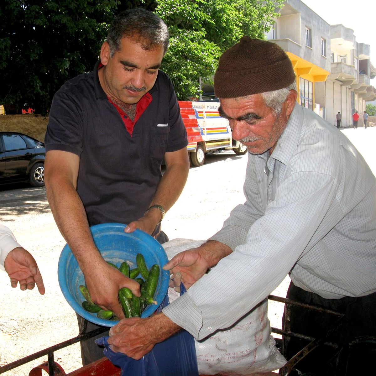 Araban'da Yılın İlk Yerli Organik Salatalığı Yok Satıyor