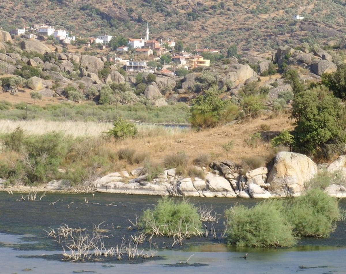 Bafa Gölü\'nde Yeni Tehlike
