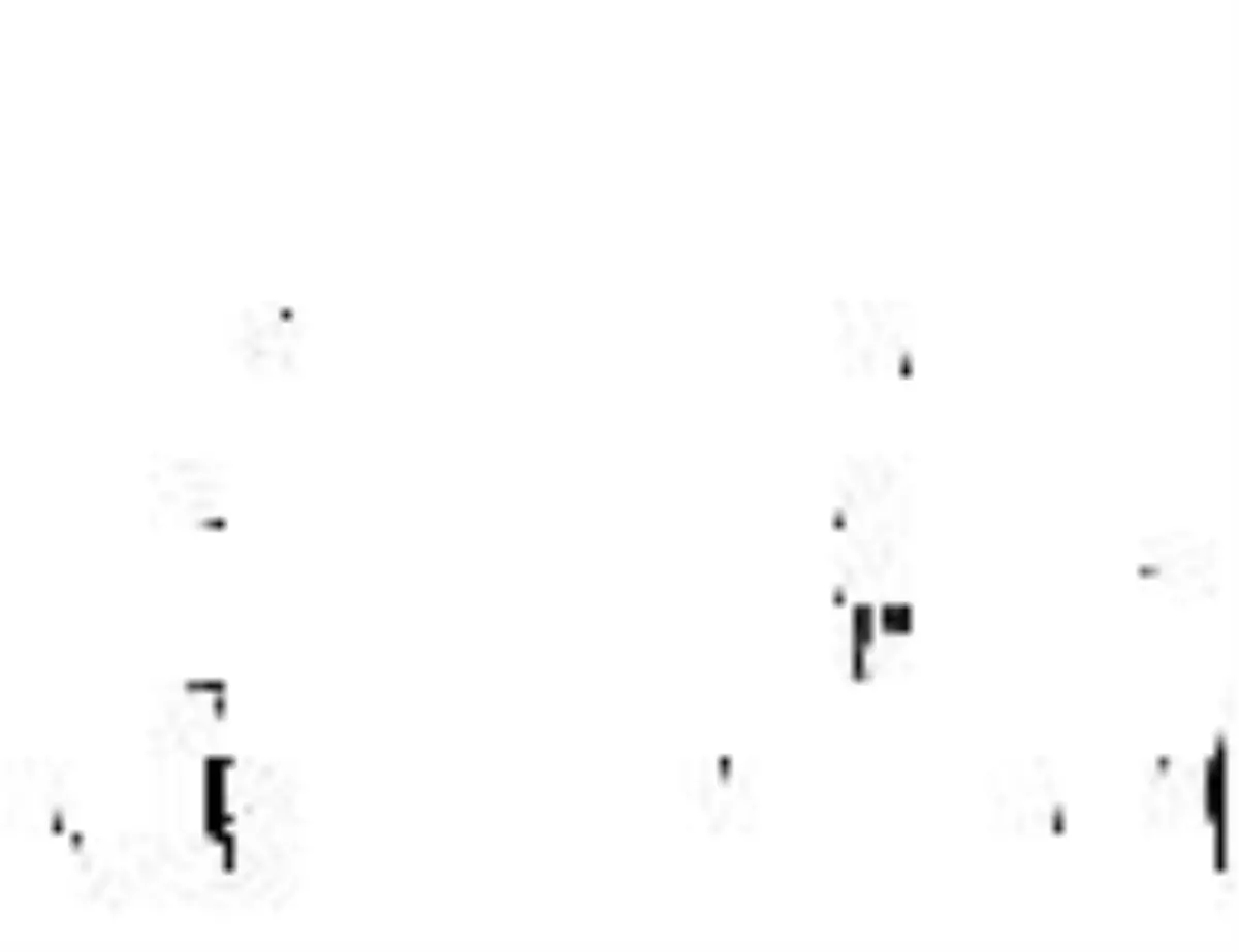 Kısa Süreli Çözüm Odaklı Koçluk ile Potansiyelinize Ulaşın!