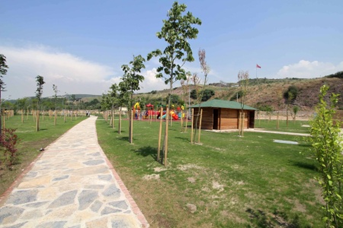 Tavşancıl Sahili Yeşile Büründü