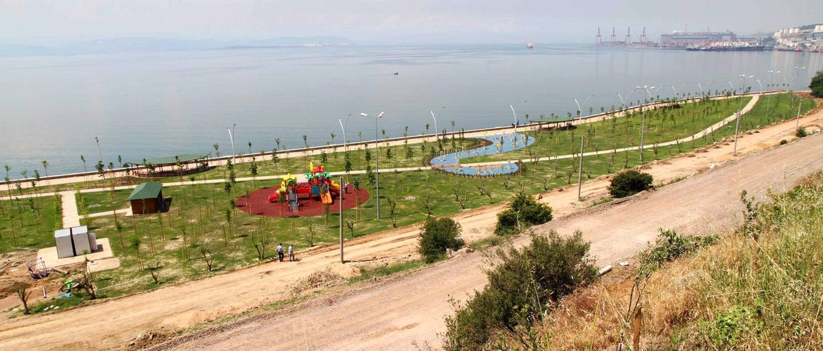 Tavşancıl Sahili Yeşile Büründü