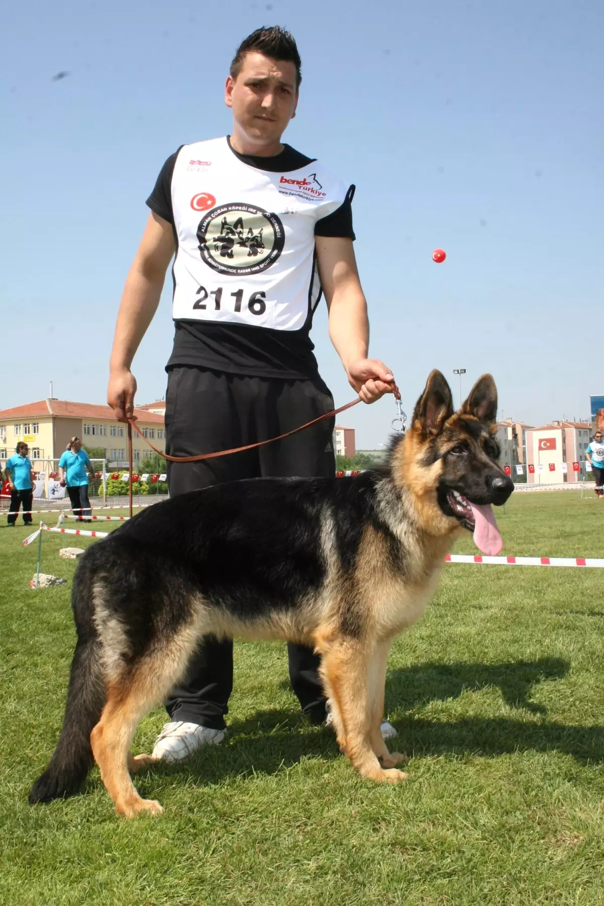Alman Çoban Köpekleri Kıyasıya Yarıştı