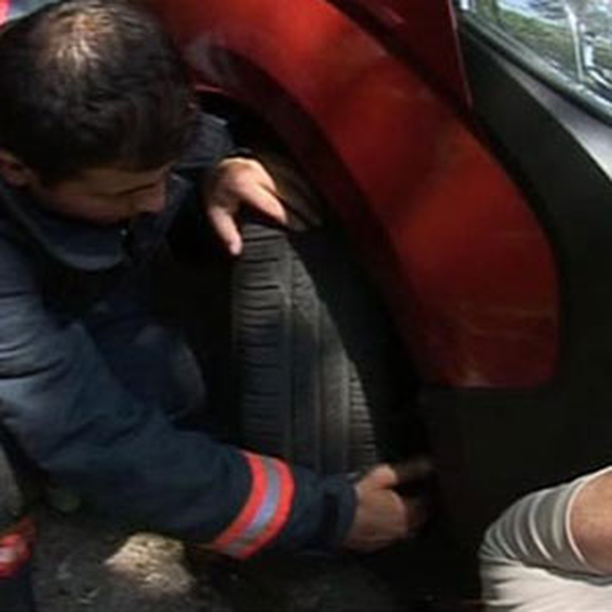 İtfaiyeden "Gel Pisi Pisi" Operasyonu