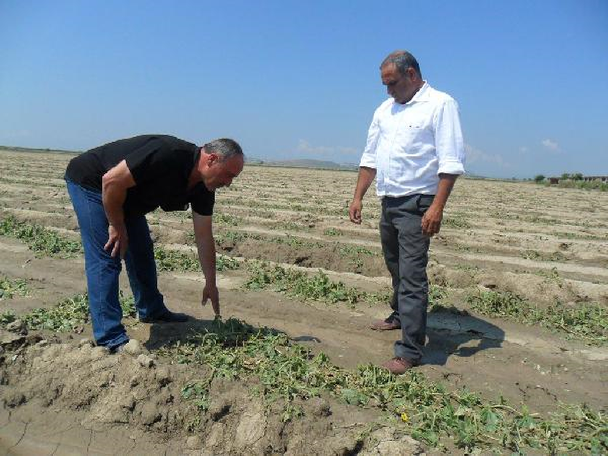 Kötü Hava Menemenli Çiftçiyi Vurdu