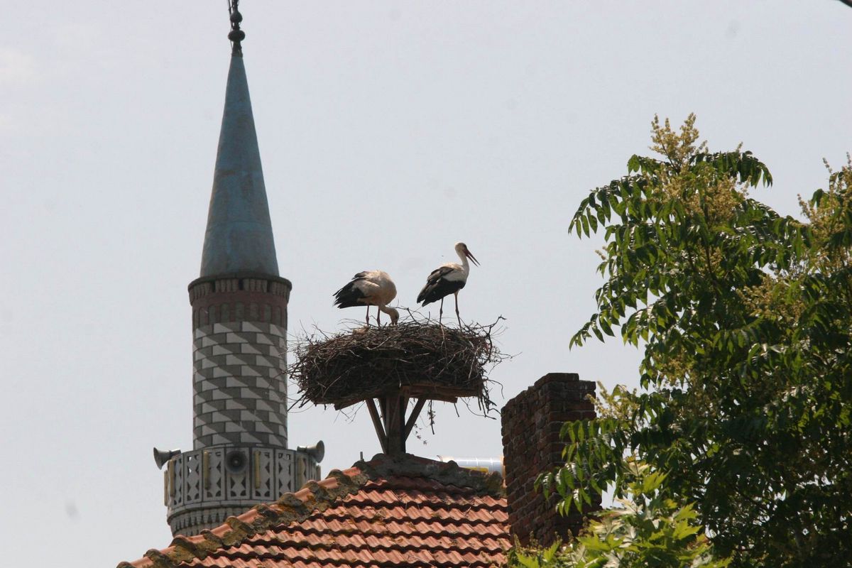 Leylek Şenliği Büyüledi