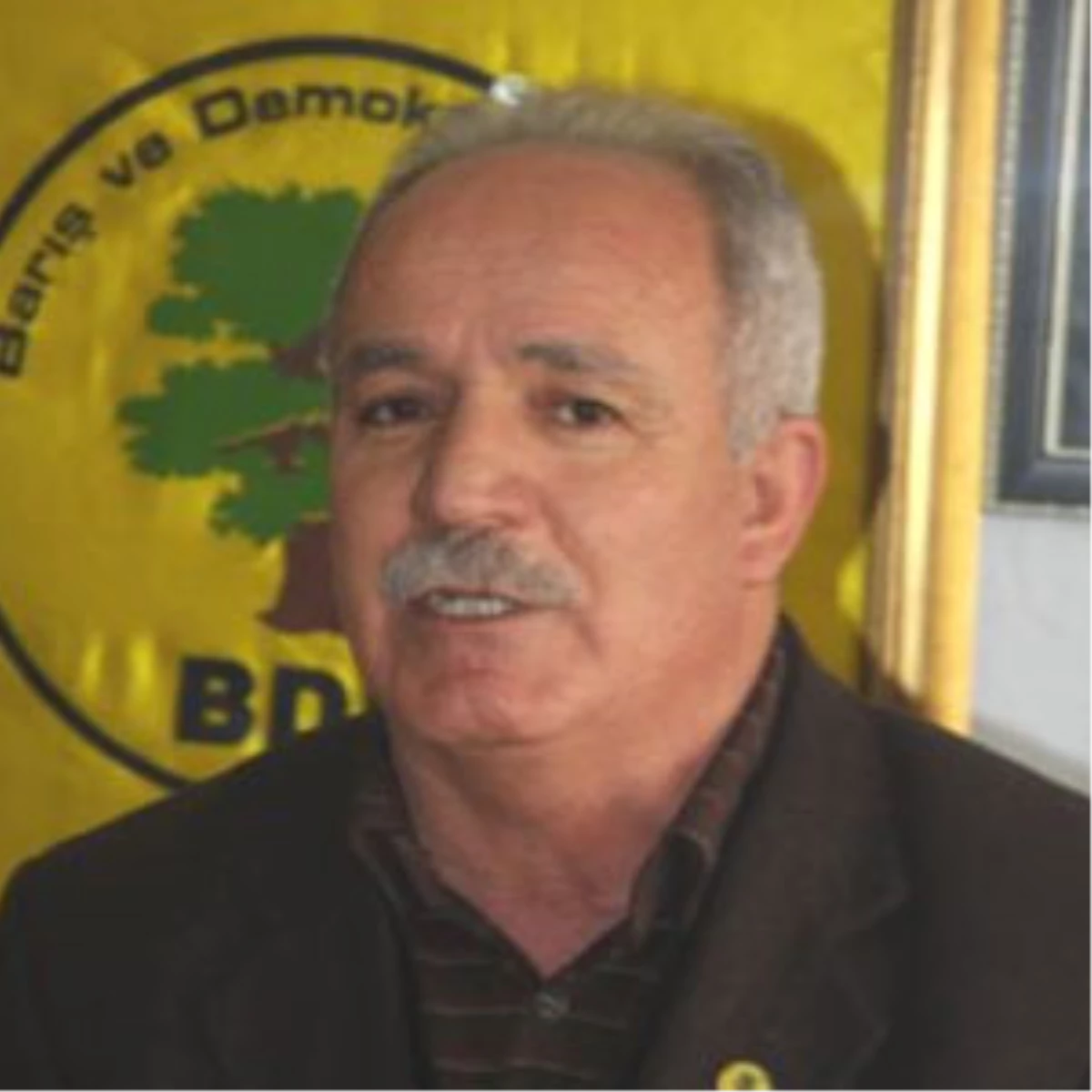 BDP Bingöl İl Başkanı Gözaltına Alındı