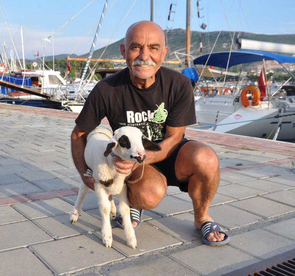 Foça\'nın Medyatik Kuzusu