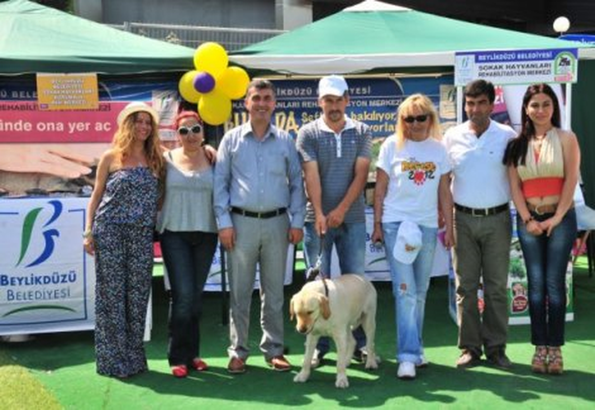 Park Orman Petfest\'in Şampiyonu Beylikdüzü\'nden
