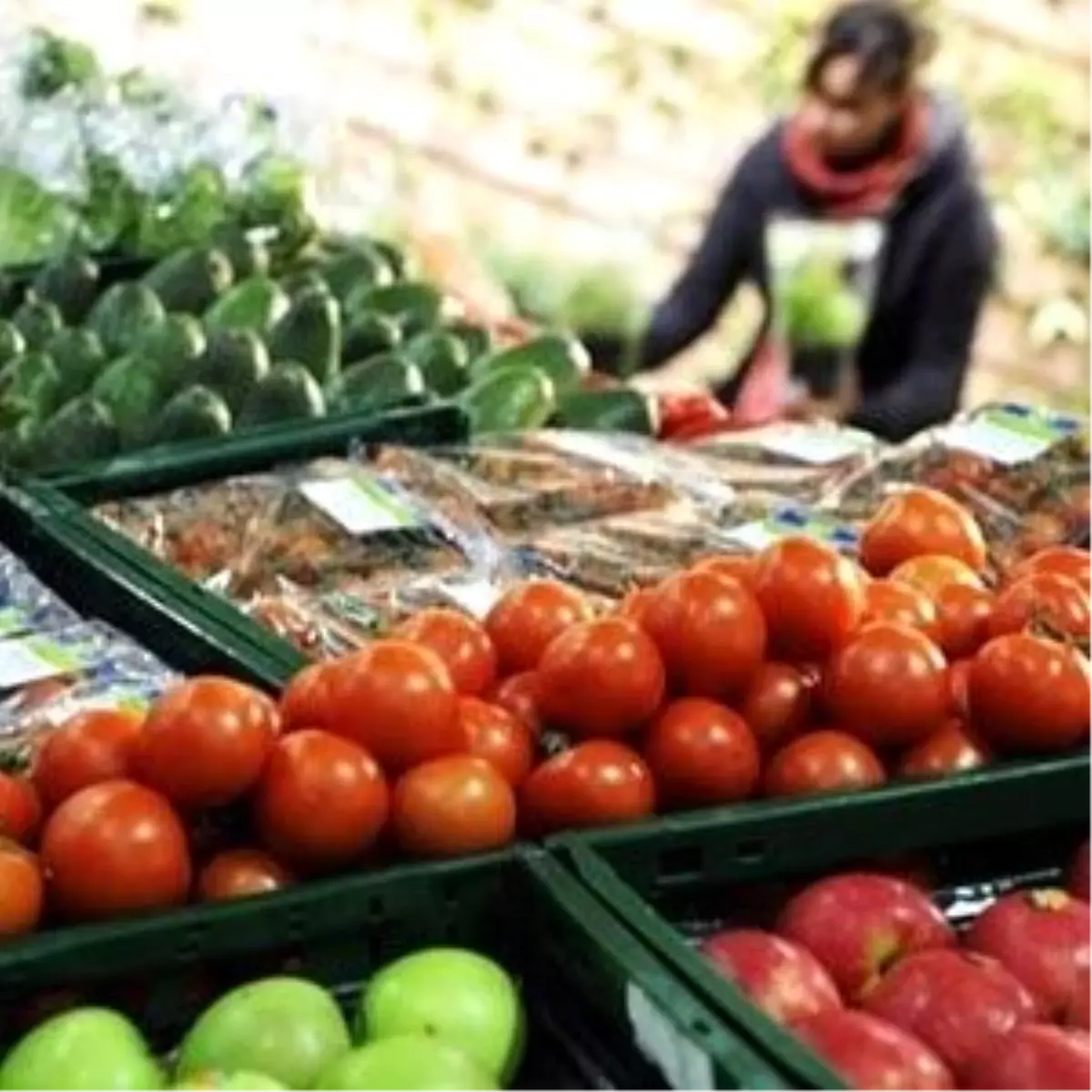 Üretici Market Fiyatları