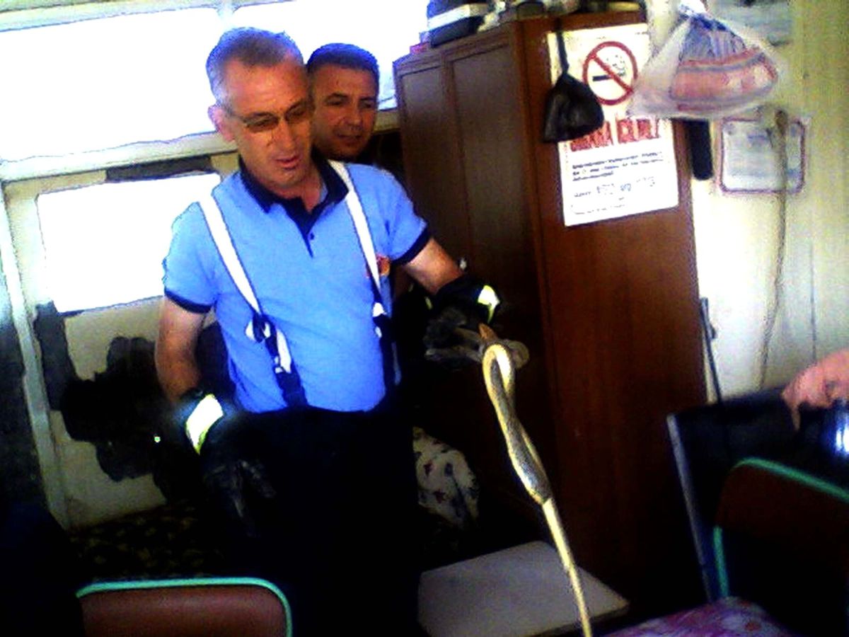 Akşehir İtfaiyesi\'nden Yılan Operasyonu