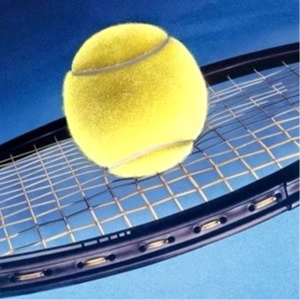 Fransa Açık Tenis Turnuvası