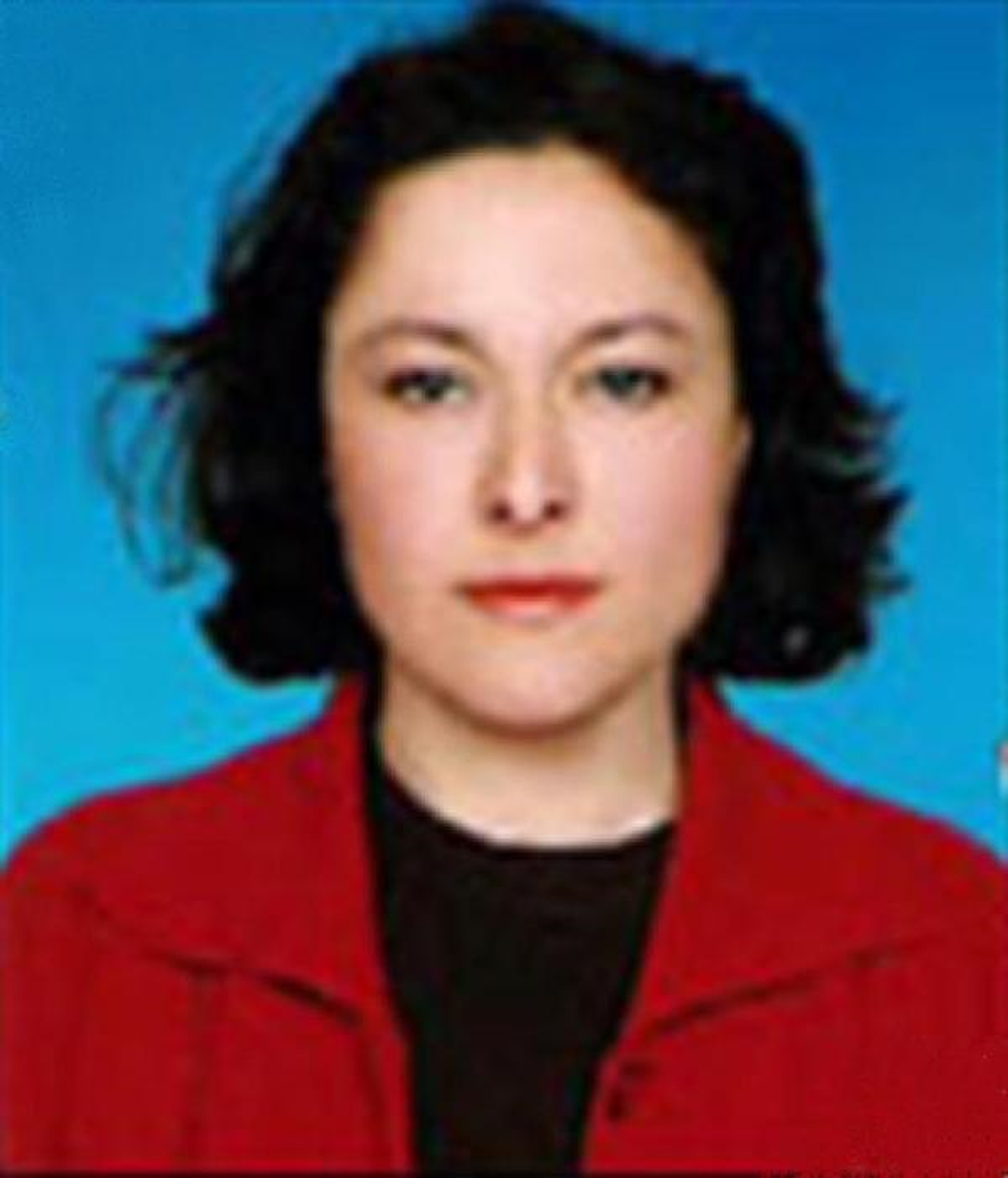 Kadın Veli, Okulda Kadın Öğretmene Saldırdı