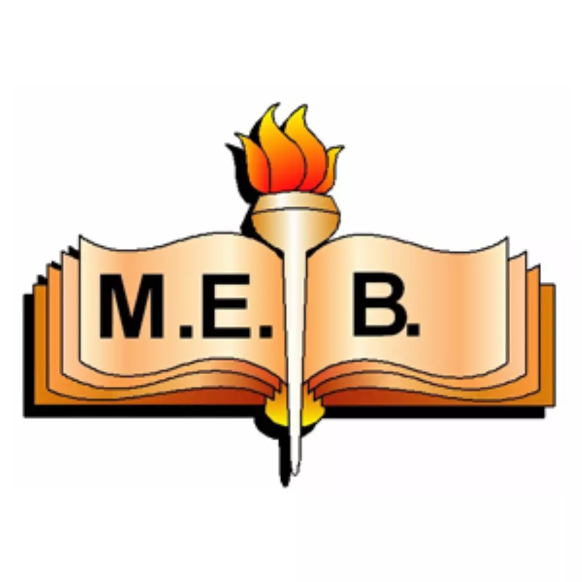 MEB'den '4+4+4 Kitapçığı'