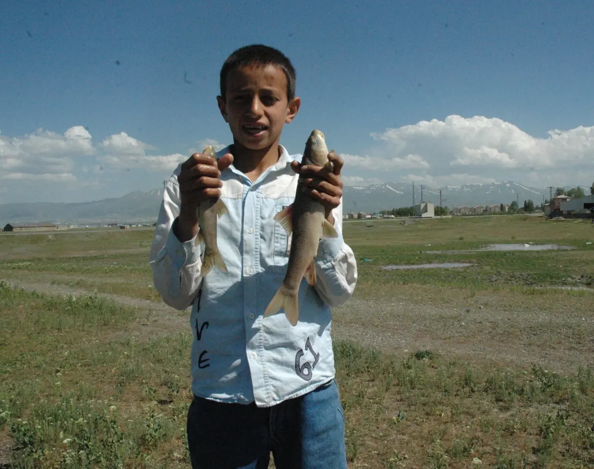 (Özel Haber) Erzurum\'da Toplu Balık Ölümleri Tedirgin Etti