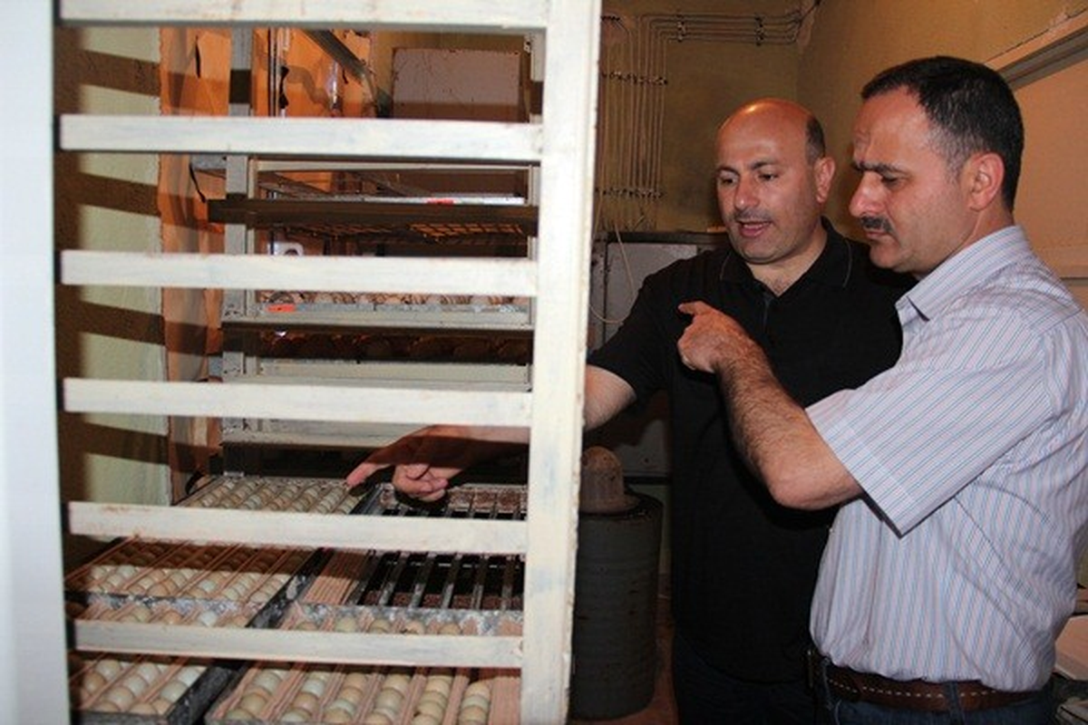Adapazarı Orman Bölge Müdürlüğü\'nün 6 Günlük Bulgaristan Gezisi Tamamlandı