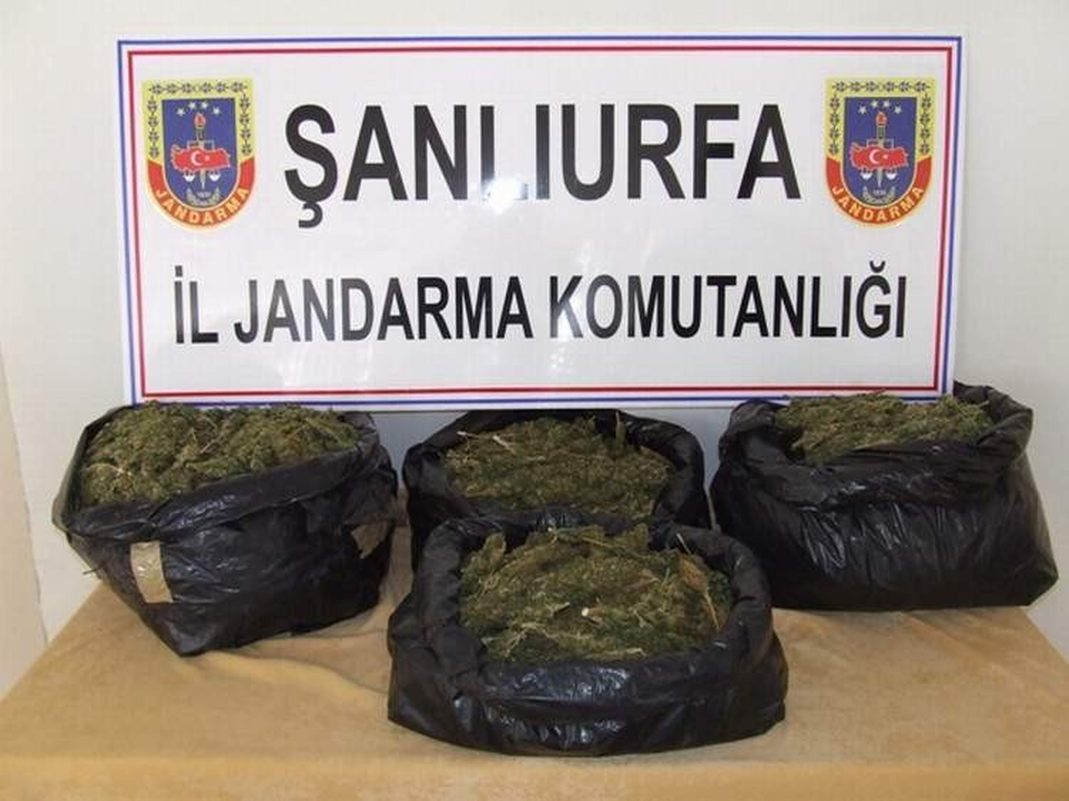 Yıkık Evde Esrar Ele Geçirildi