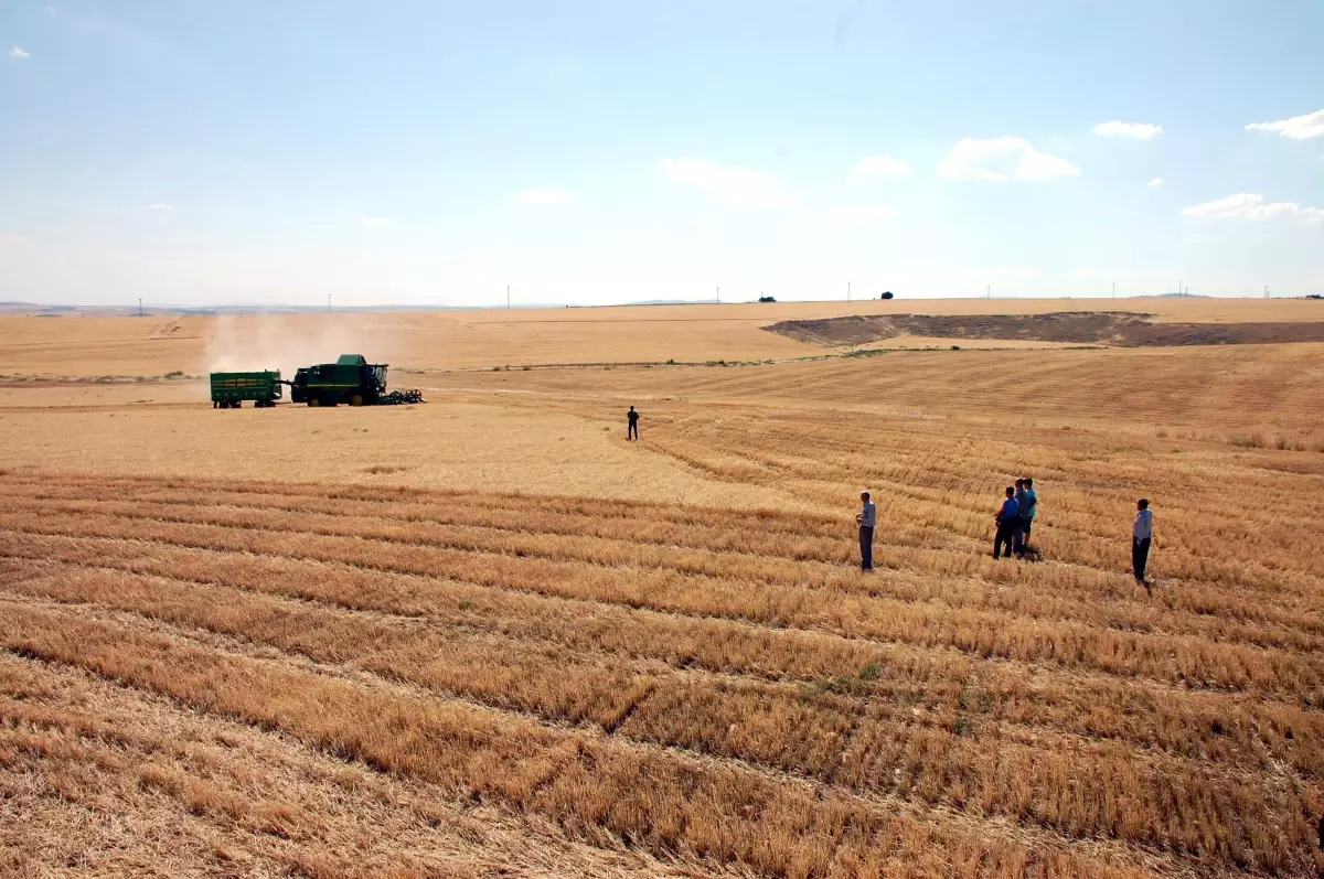 Adıyaman\'da Hasat Sevinci