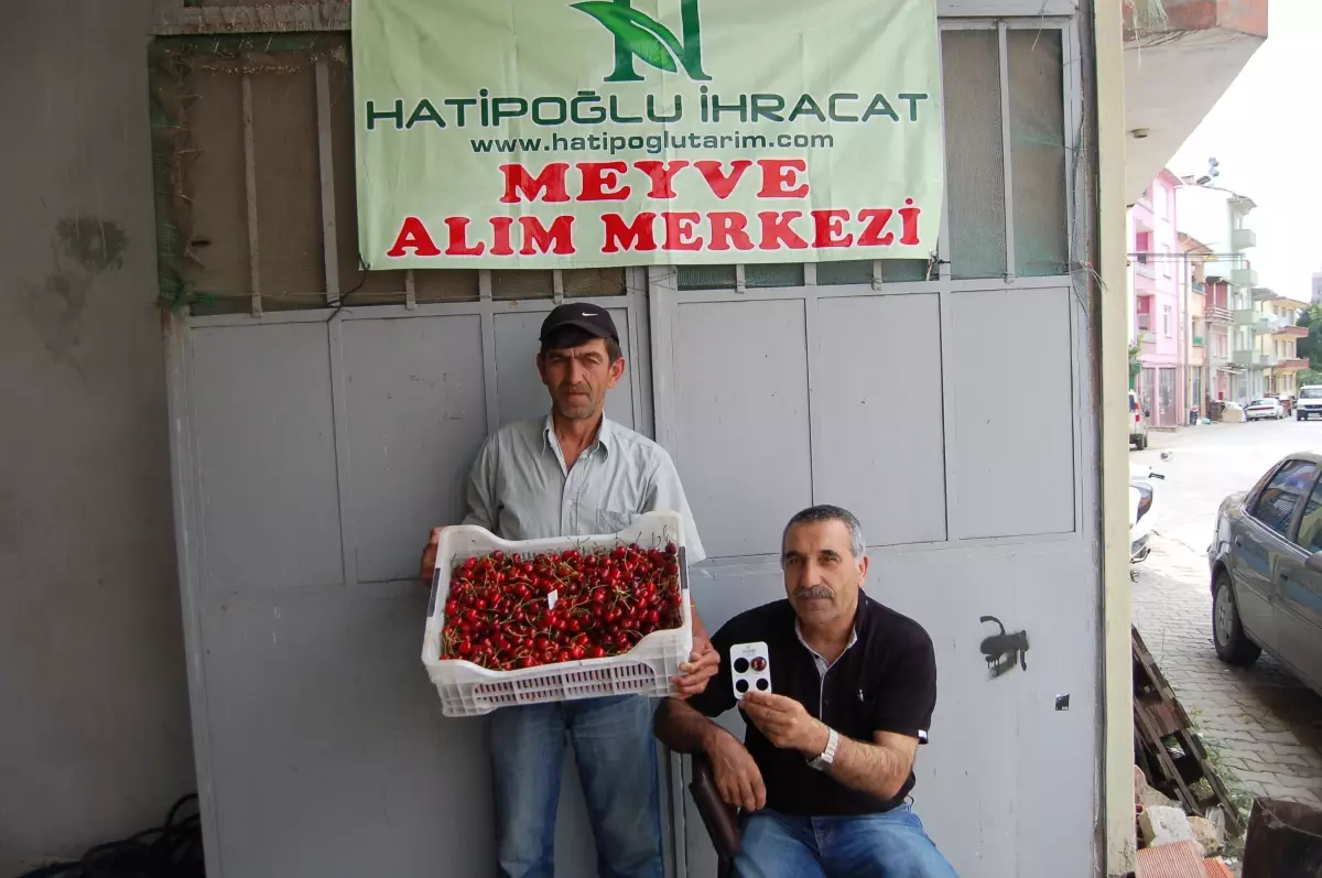 İhracatta Kiraz Rekor Fiyata Ulaştı