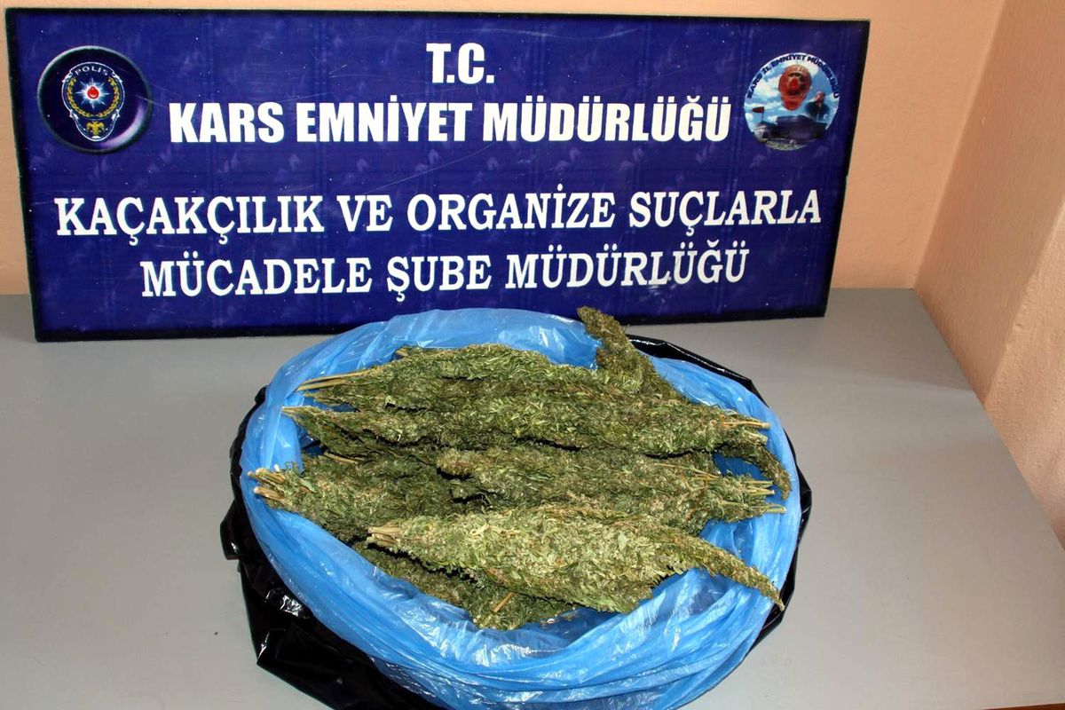 Kars\'ta 1 Kilo 290 Gram Esrar Ele Geçirildi