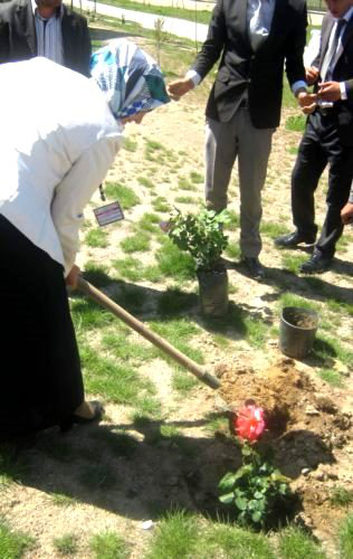 Anadolu Konteynır Kendi Kadınlarından Muhtaç Çocuklar Adına Gül Bahçesi