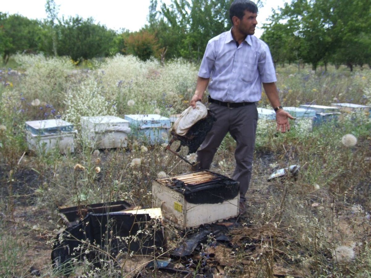 Arı Kovanları Kül Oldu