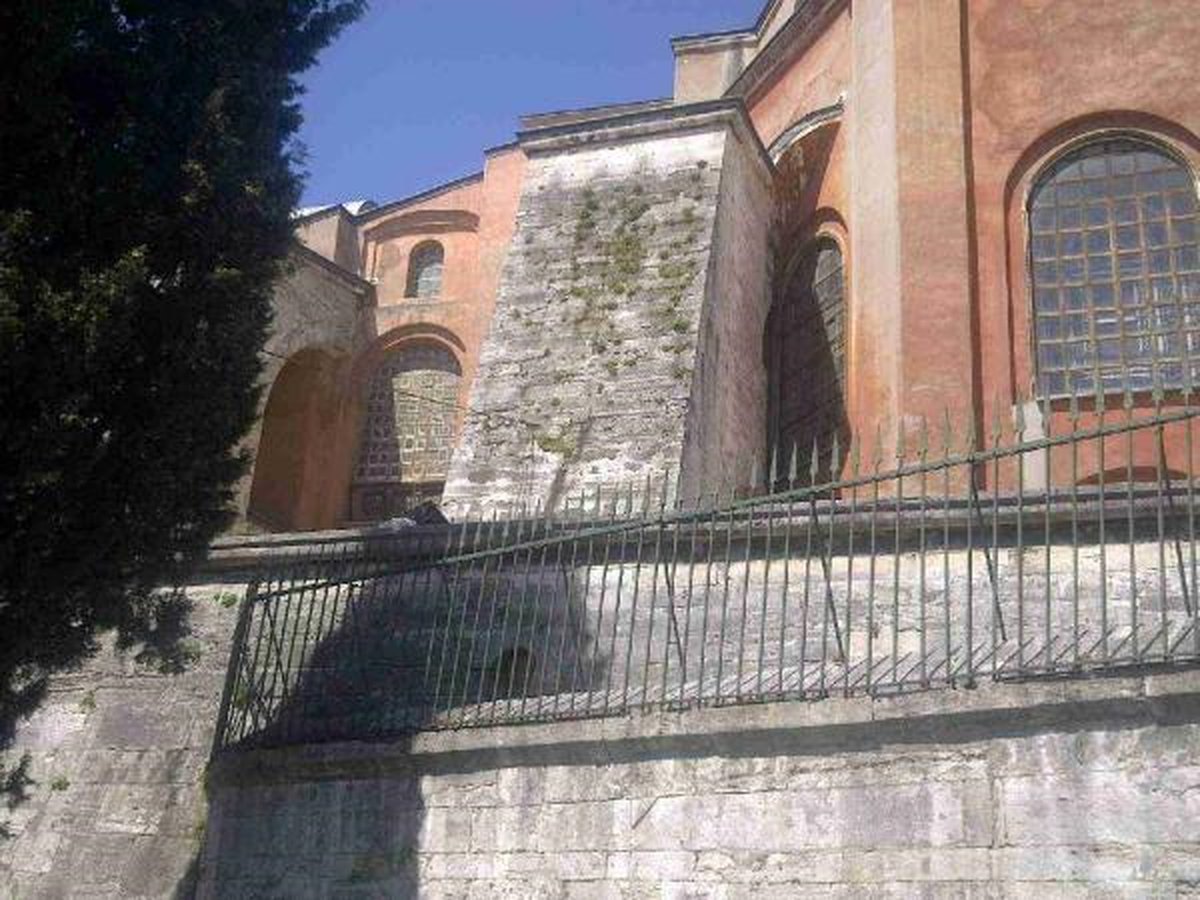 Ayasofya\'nın Üzerindeki İncir Ağacı Direnişini Sürdürüyor
