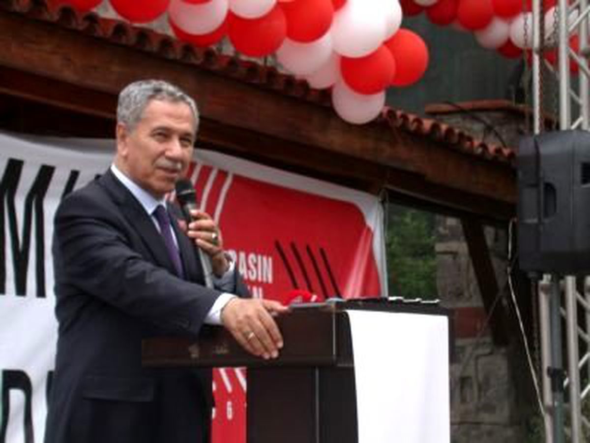 Başbakan Yardımcısı Arınç Açıklaması