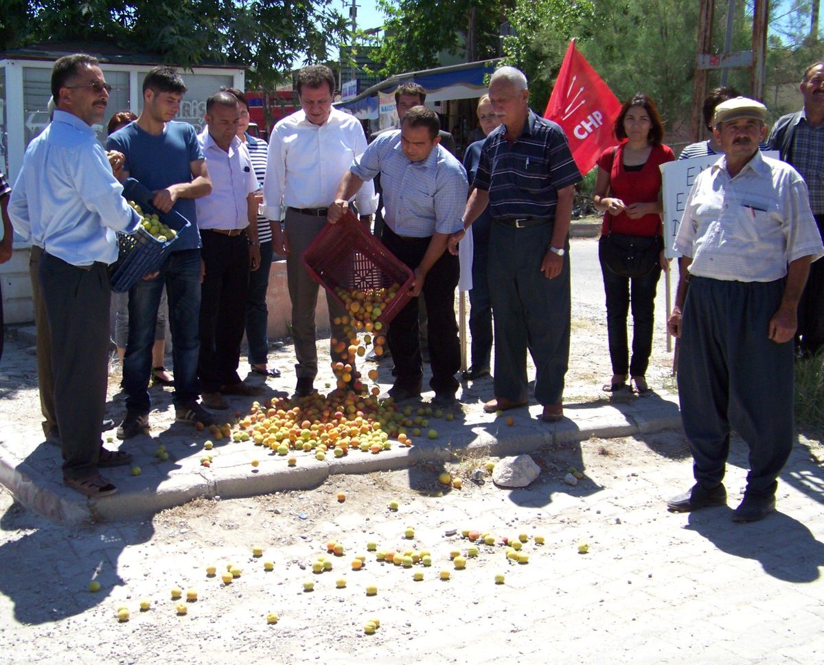 CHP\'li Seçerden Kayısı Üreticisine Destek