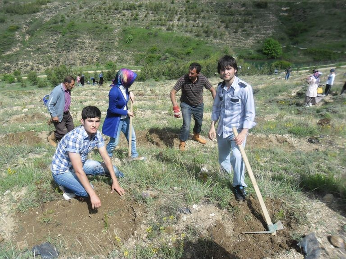 Geleceğin Öğretmenleri Ağaç Dikti