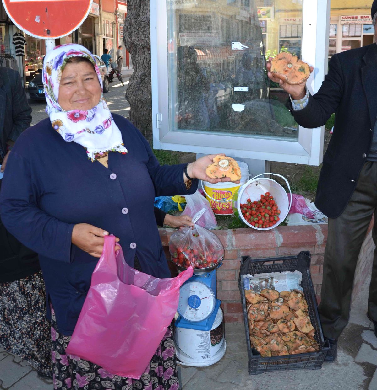 Sonbahar Mantarı Haziran\'da Çıktı