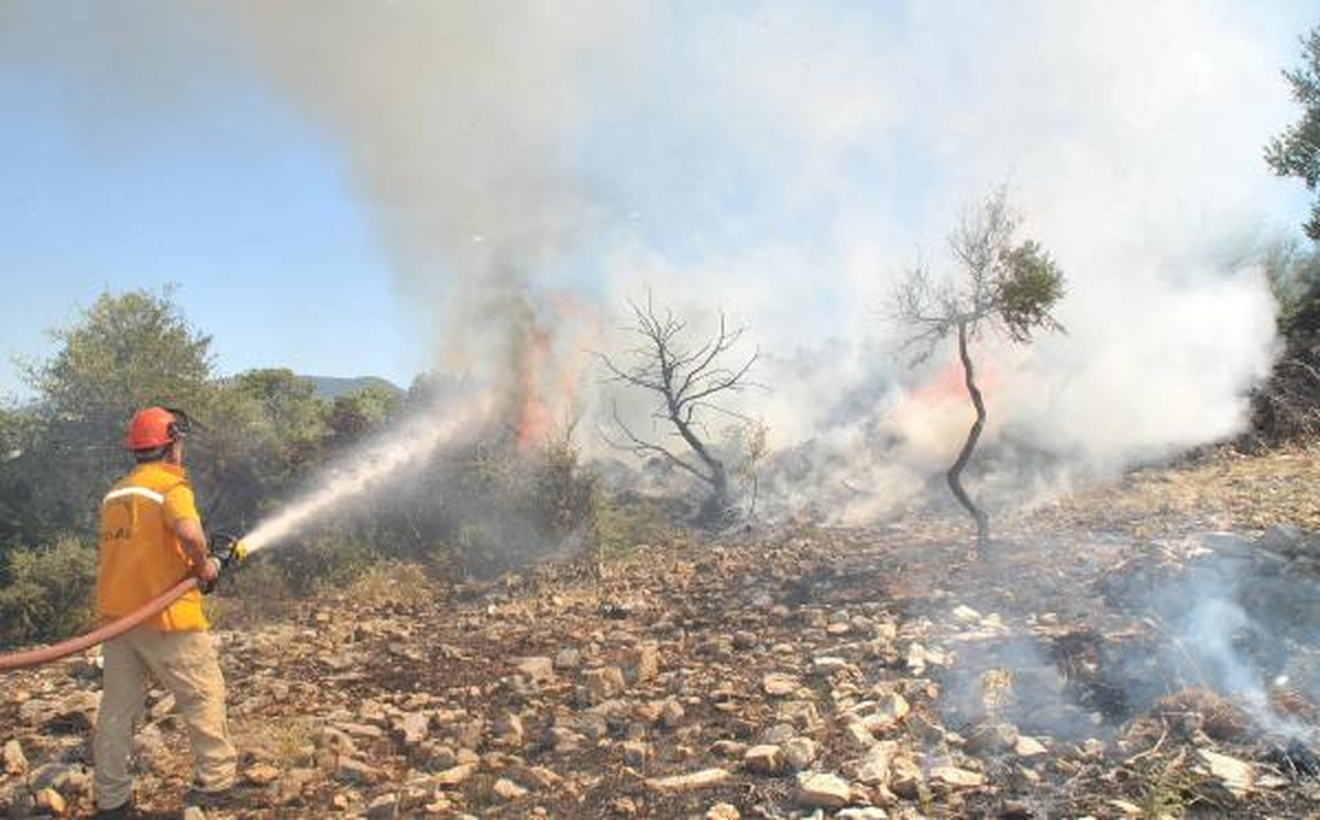 81 Yaşındaki Çiftçi, Zeytinliğinde Çıkan Yangına Böyle Müdahale Etti